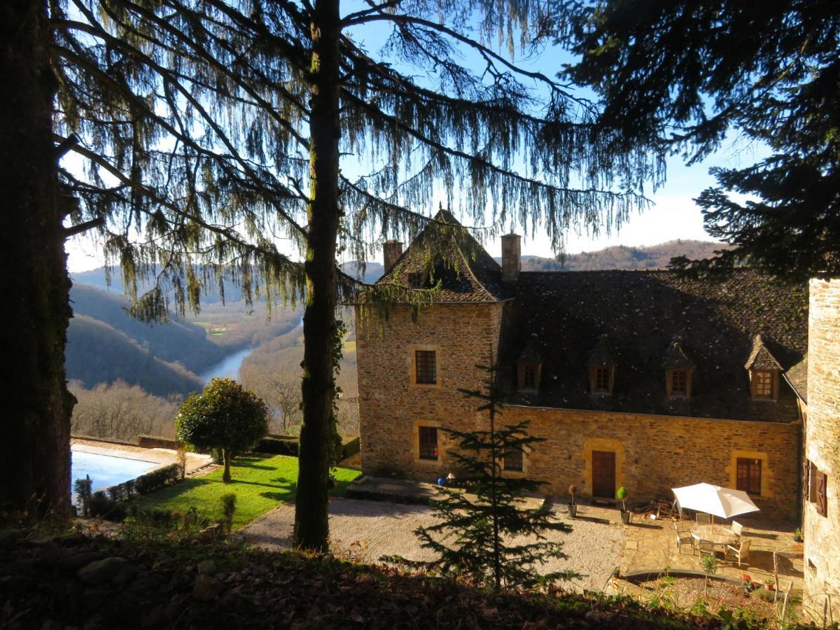 Chateau De Chauvac - Chambres Et Table D'Hotes Avec Vue Sur La Riviere Bassignac-le-Bas Buitenkant foto