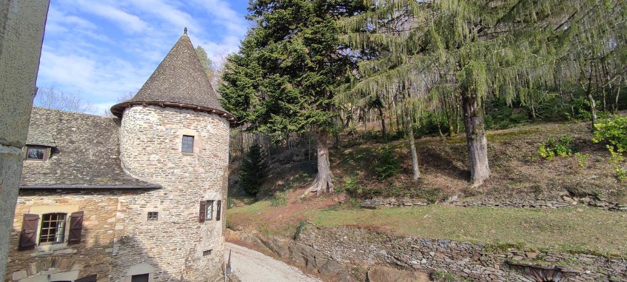 Chateau De Chauvac - Chambres Et Table D'Hotes Avec Vue Sur La Riviere Bassignac-le-Bas Buitenkant foto