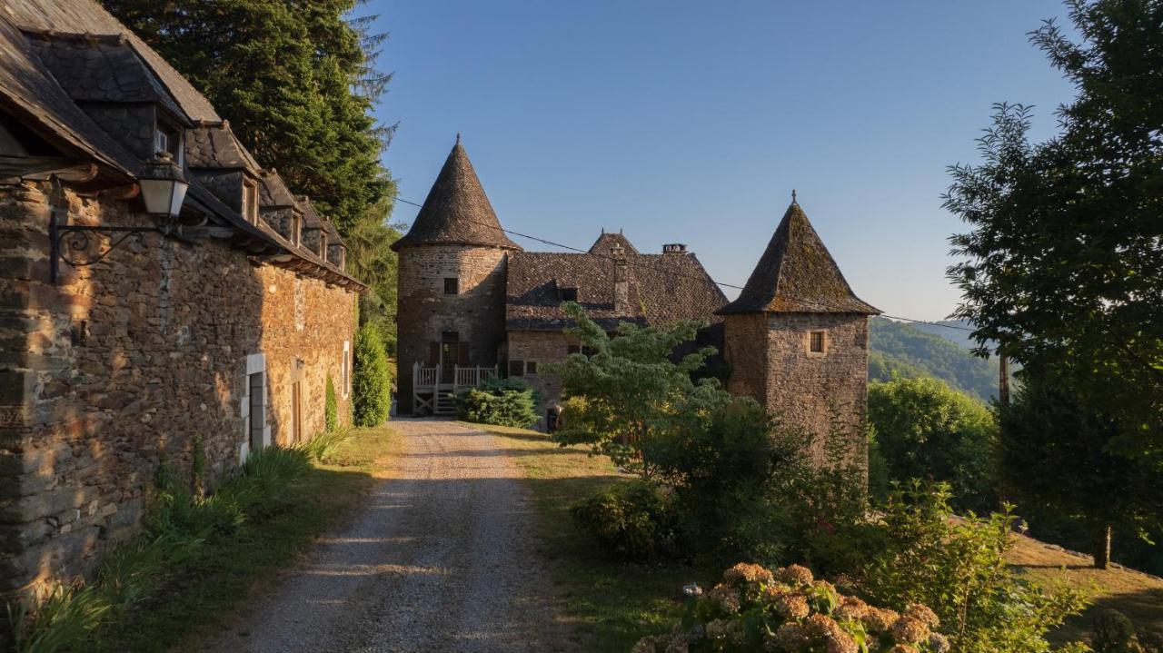 Chateau De Chauvac - Chambres Et Table D'Hotes Avec Vue Sur La Riviere Bassignac-le-Bas Buitenkant foto