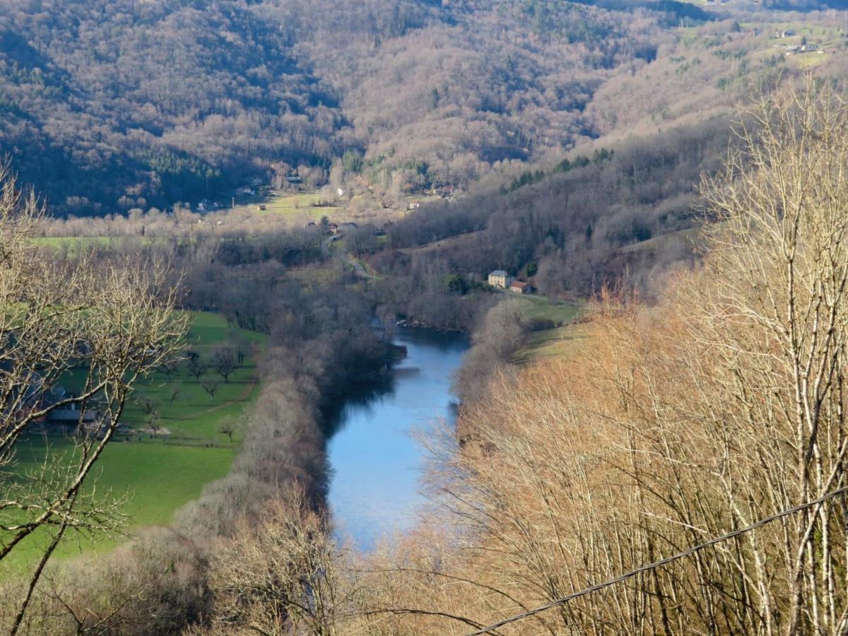 Chateau De Chauvac - Chambres Et Table D'Hotes Avec Vue Sur La Riviere Bassignac-le-Bas Buitenkant foto